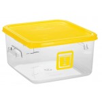 1980321-1980200-rcp-food-storage-color-coded-square-container-4qt-red-with-lid-primary_low